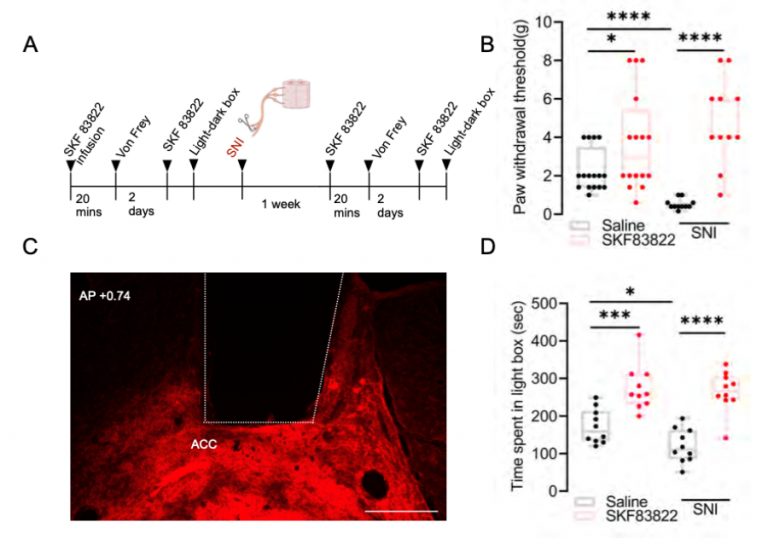 Collaborative Study with Arnab Barik’s Lab Completed
