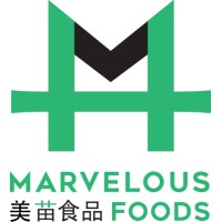 Marvelous Foods