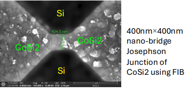 CoSi2 Fabrication Image 1